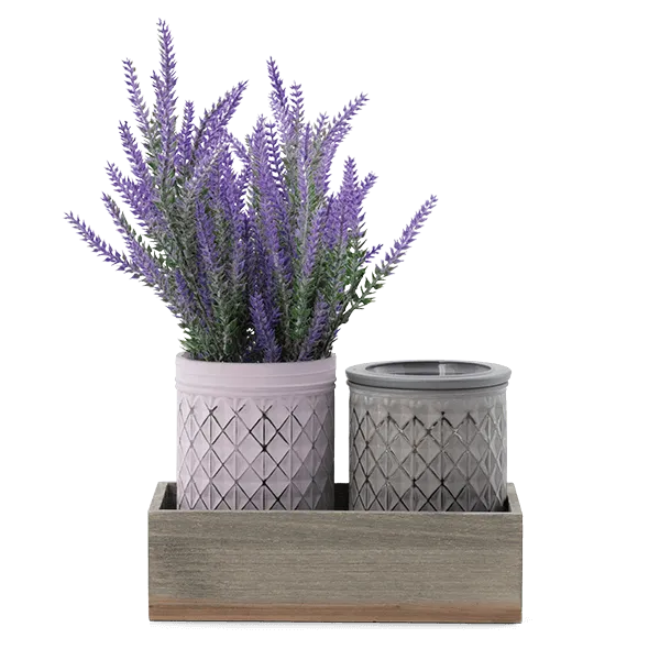 Elektrische Duftlampe Lavender Bouquet